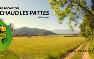 prochain Trail des Tortues Joggeuses