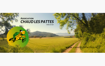 prochain Trail des Tortues Joggeuses