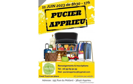 Pucier de l'école St Pierre