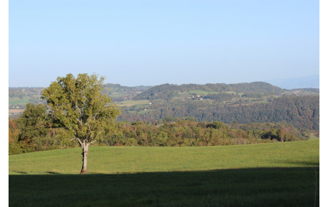 Sortie Randonnée du 8 Octobre