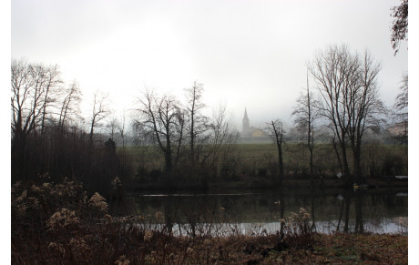 Sortie Randonnée du 2 Février