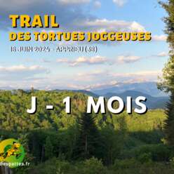Trail des Tortues Joggeuses 2024 : M-1
